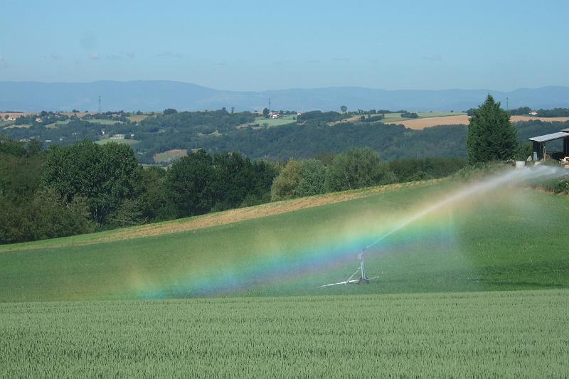 2011-05- (925).JPG